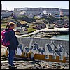 20030728_01_Nuuk_mor.jpg