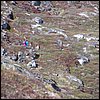 20030731_10_Kapisigdlit_tur_til_isfjord.jpg